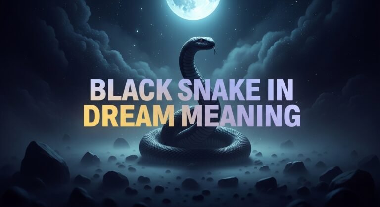 Black Snake in Dream Meaning