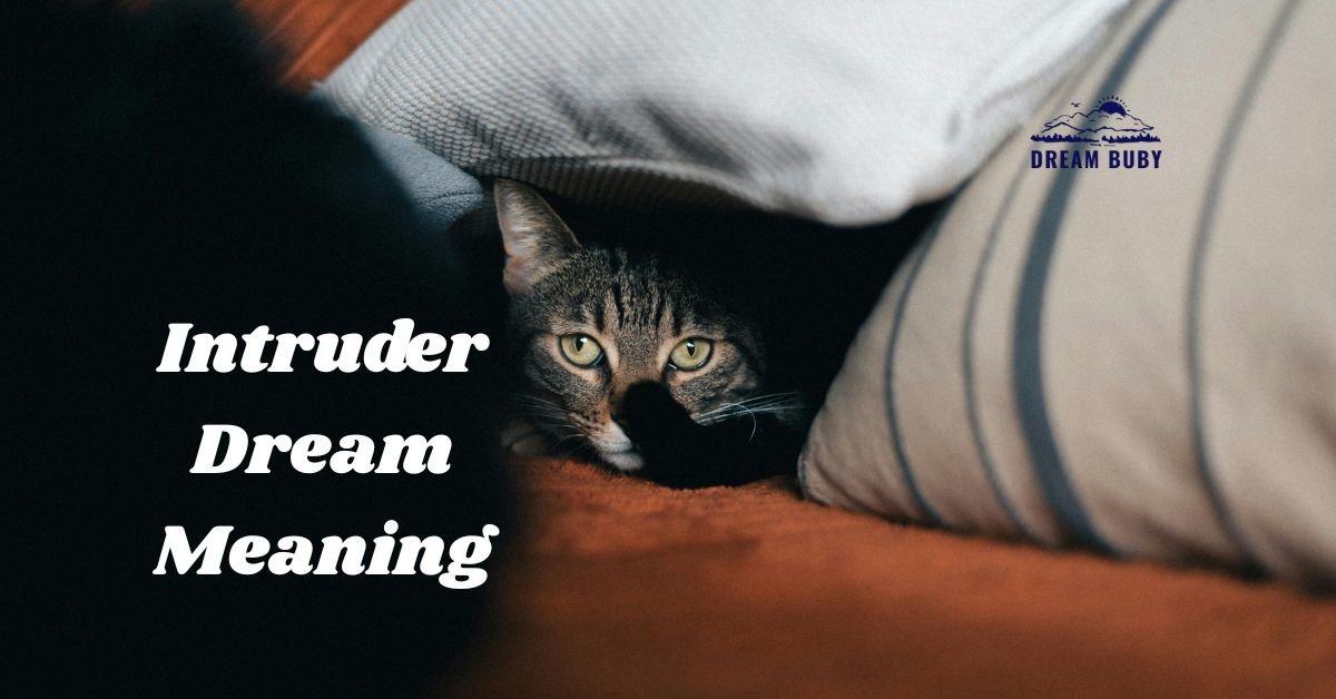 Intruder Dream Meaning