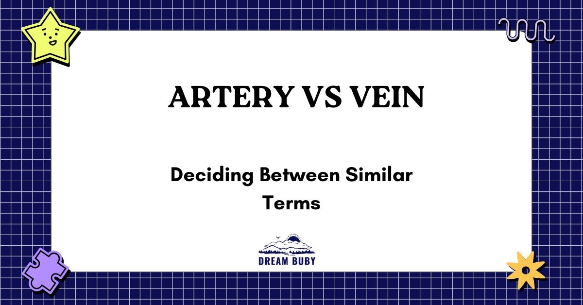 Artery vs Vein