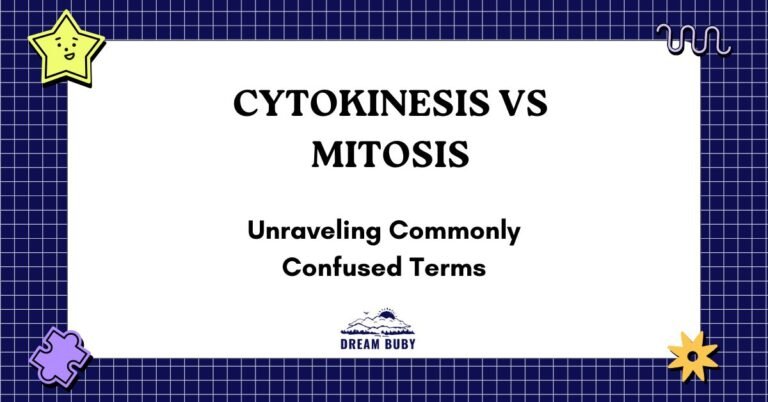 Cytokinesis vs Mitosis