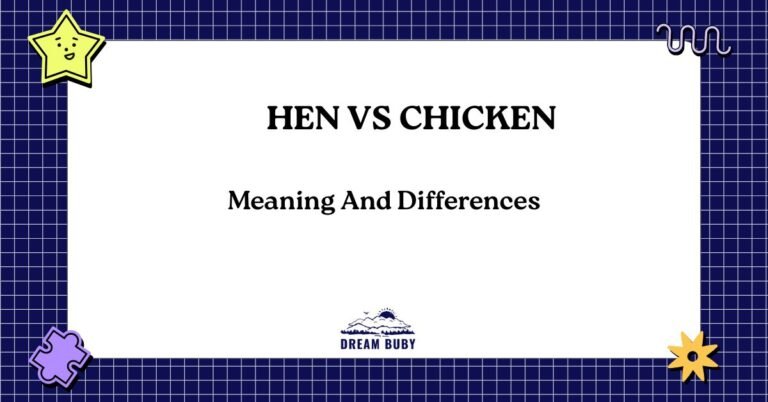Hen vs Chicken