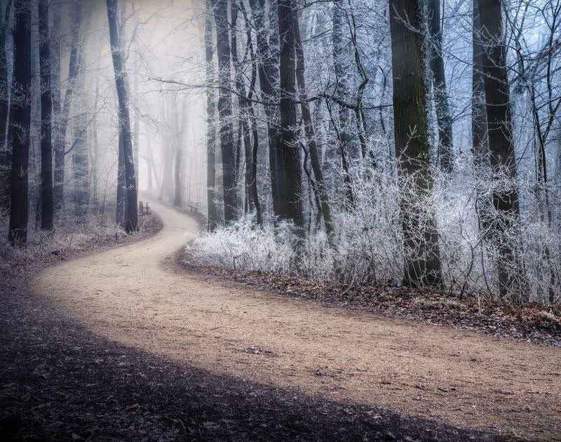 Two diverging paths in fog symbolizing moving on